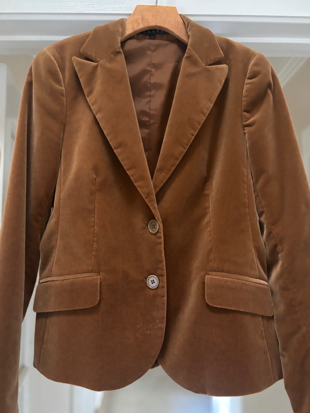 THEORY Women's Velvet Tailored Blazer - Brown/Bronze